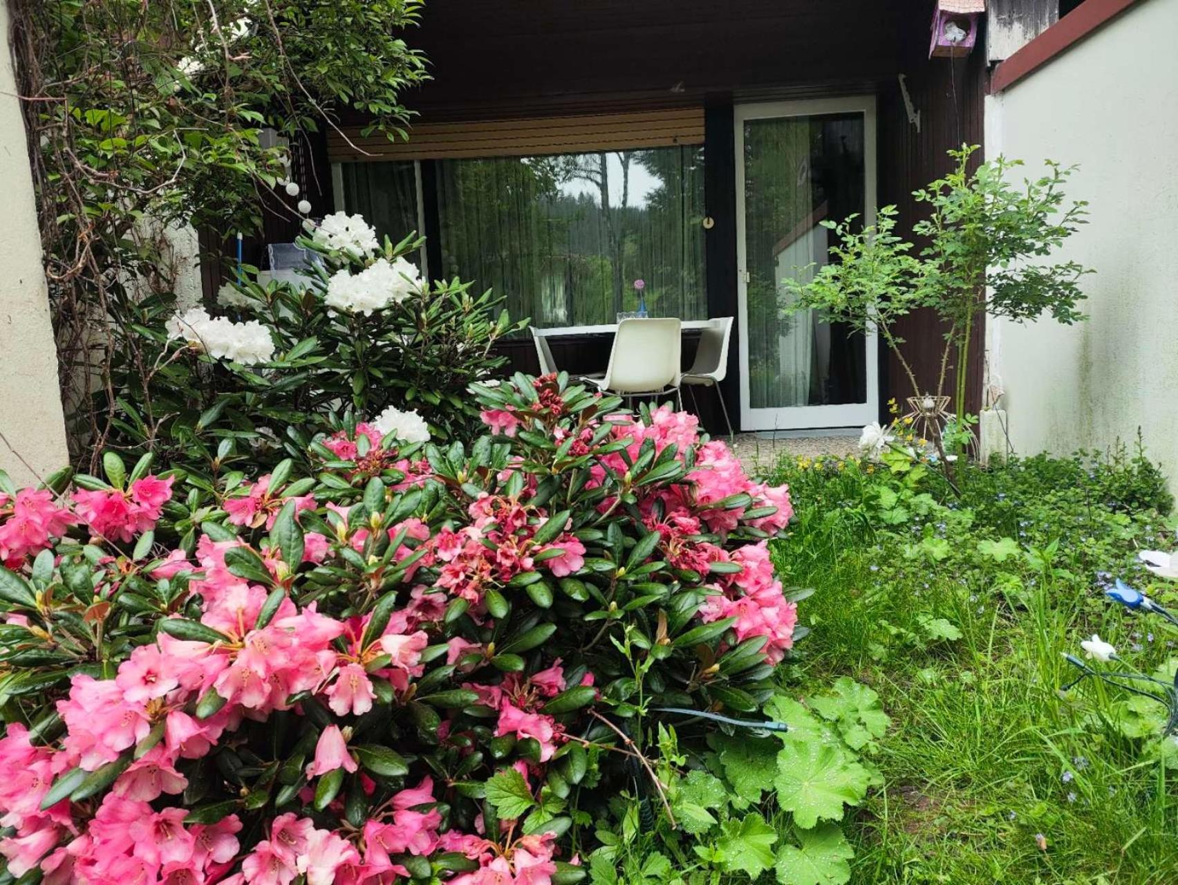 Ferienwohnung Schoene Wohnung 2D-Gebaeude Mit Mini-Garten Schönwalde Exterior foto